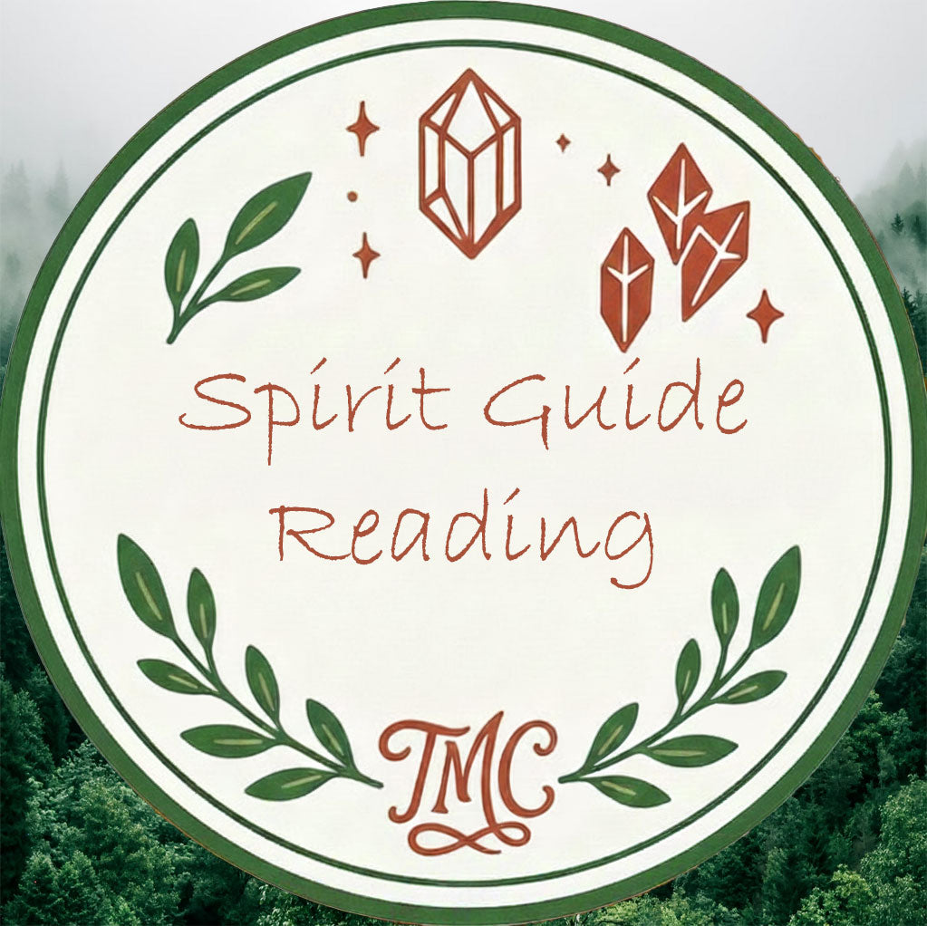 Spirit Guide Reading